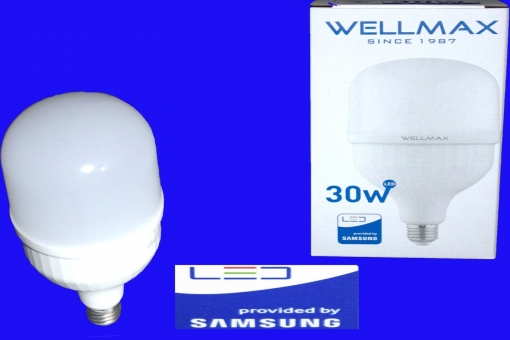 Էլ.լամպ LED Wellmax 30W (E27 6500K) 