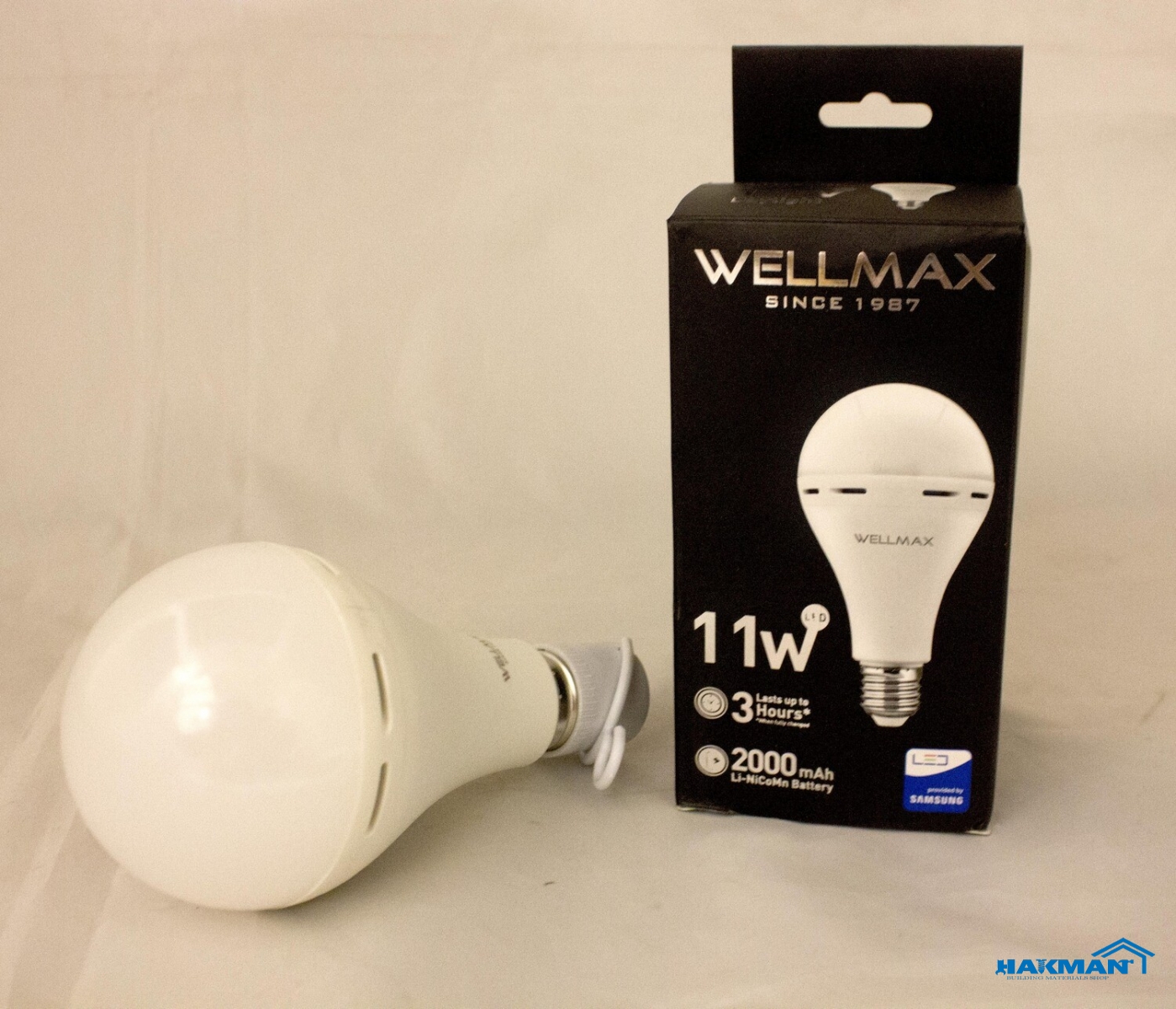 LED bulb with Wellmax 11W daylight battery (A80 E2