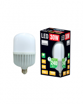 ԼԱՄՊ LED T100 E27 30W, 6500K REV 